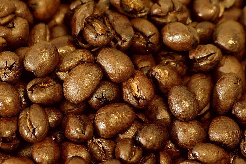 Kopi Lanang